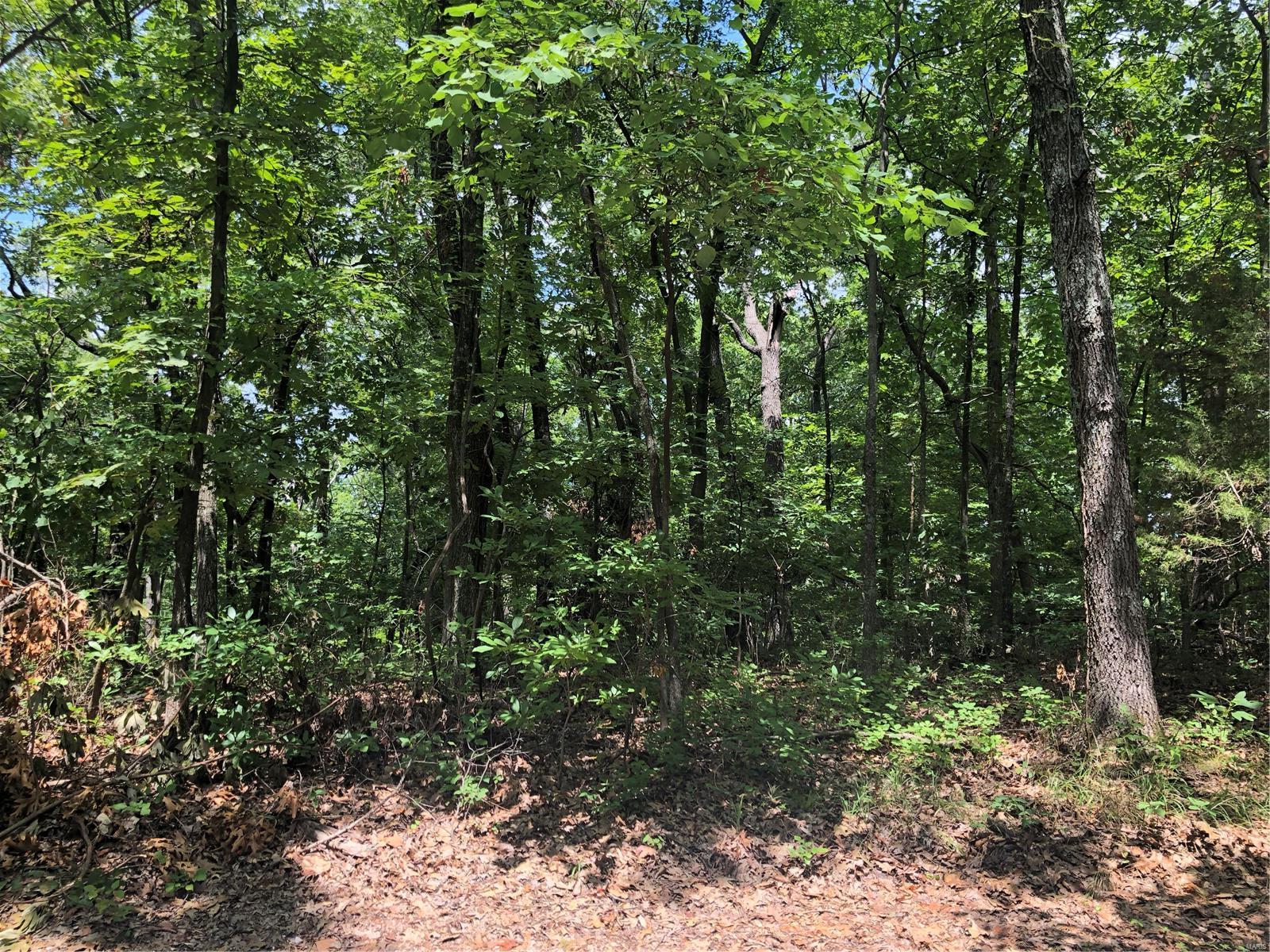 18067 St Stephens Road Eureka, MO 63025 - Photo 1 of 7 Gallery Image 1
