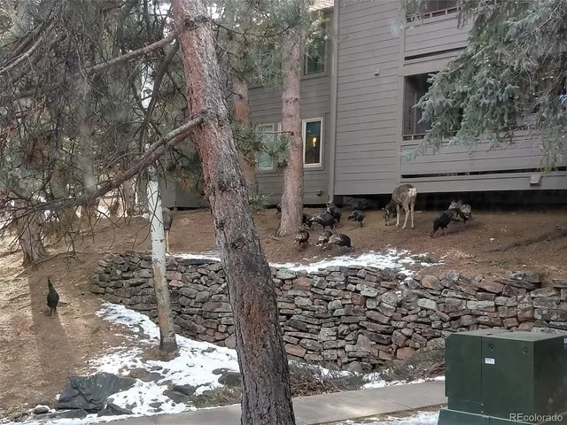 a view of a field of grass and trees