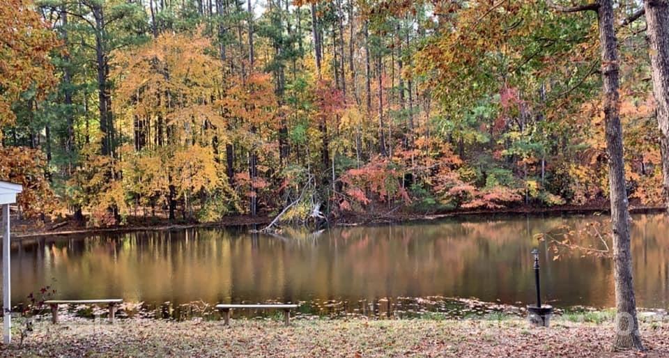 114 Creswell Road Mount Gilead, NC 27306 - Photo 24 of 28 Gallery Image 24