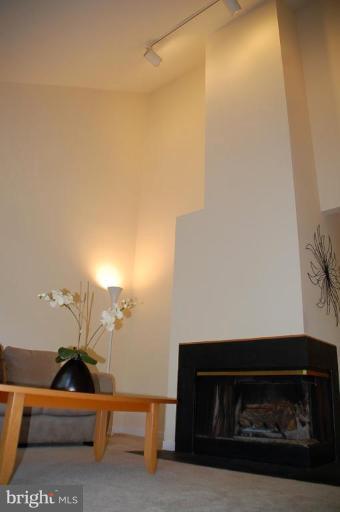 2706 Cool Spring Road Adelphi, MD 20783 - Photo 14 of 19 Fireplace