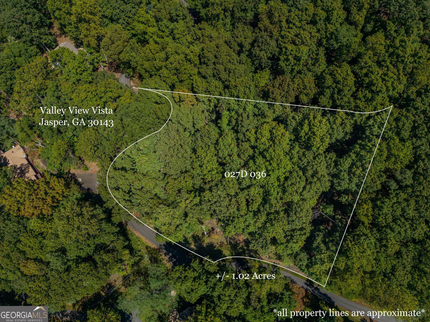 a view of a yard and trees