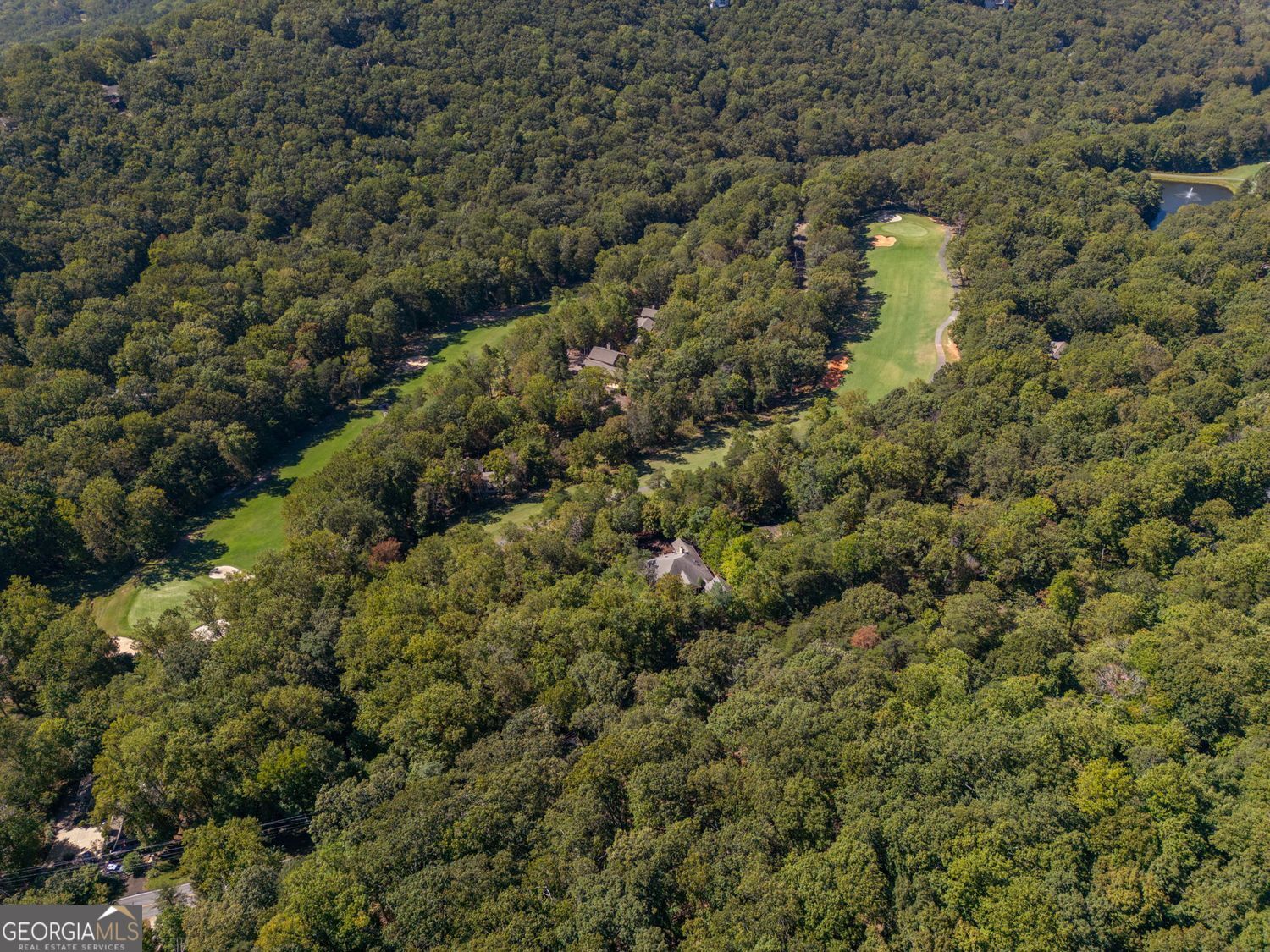 0 Valley View Vista Jasper, GA 30143 - Photo 12 of 14 a view of a forest with a houses