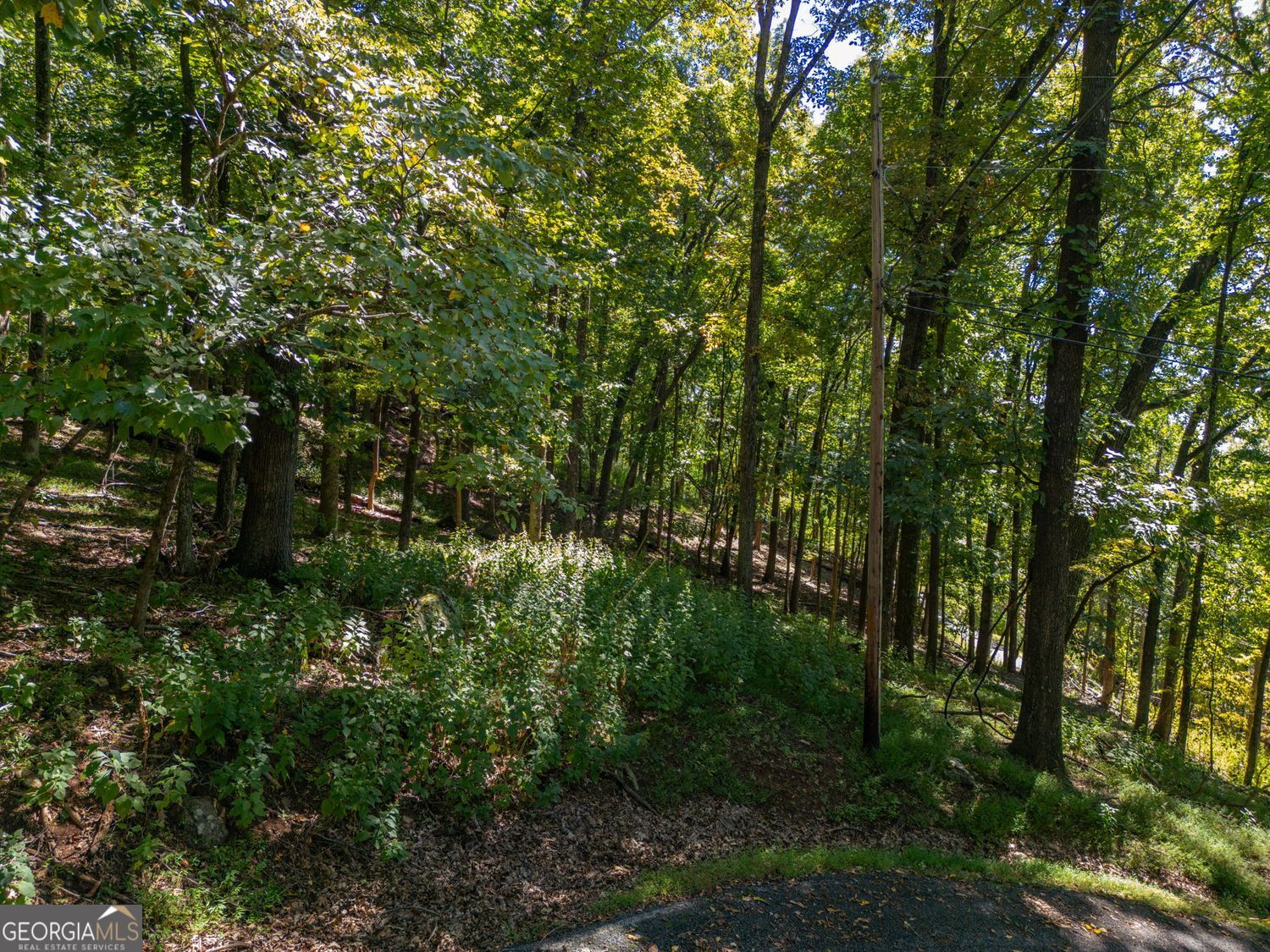 0 Valley View Vista Jasper, GA 30143 - Photo 2 of 14 a view of a forest with trees in the background