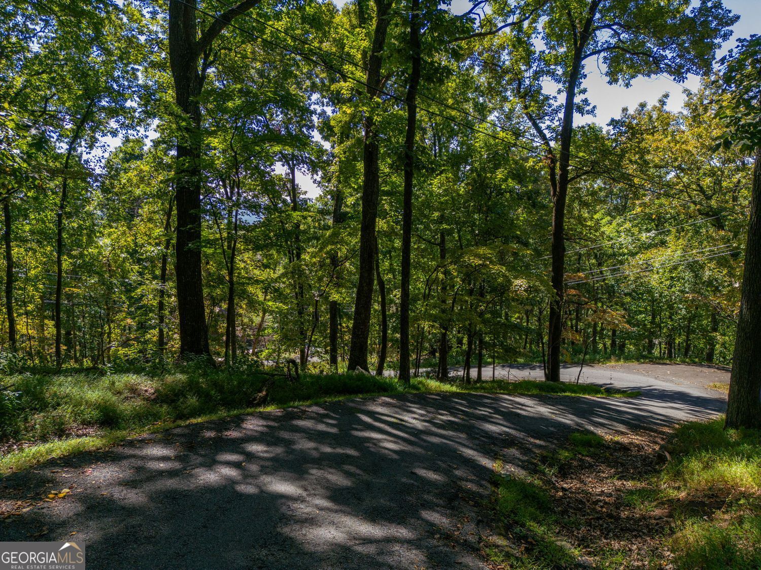 0 Valley View Vista Jasper, GA 30143 - Photo 3 of 14 a view of park