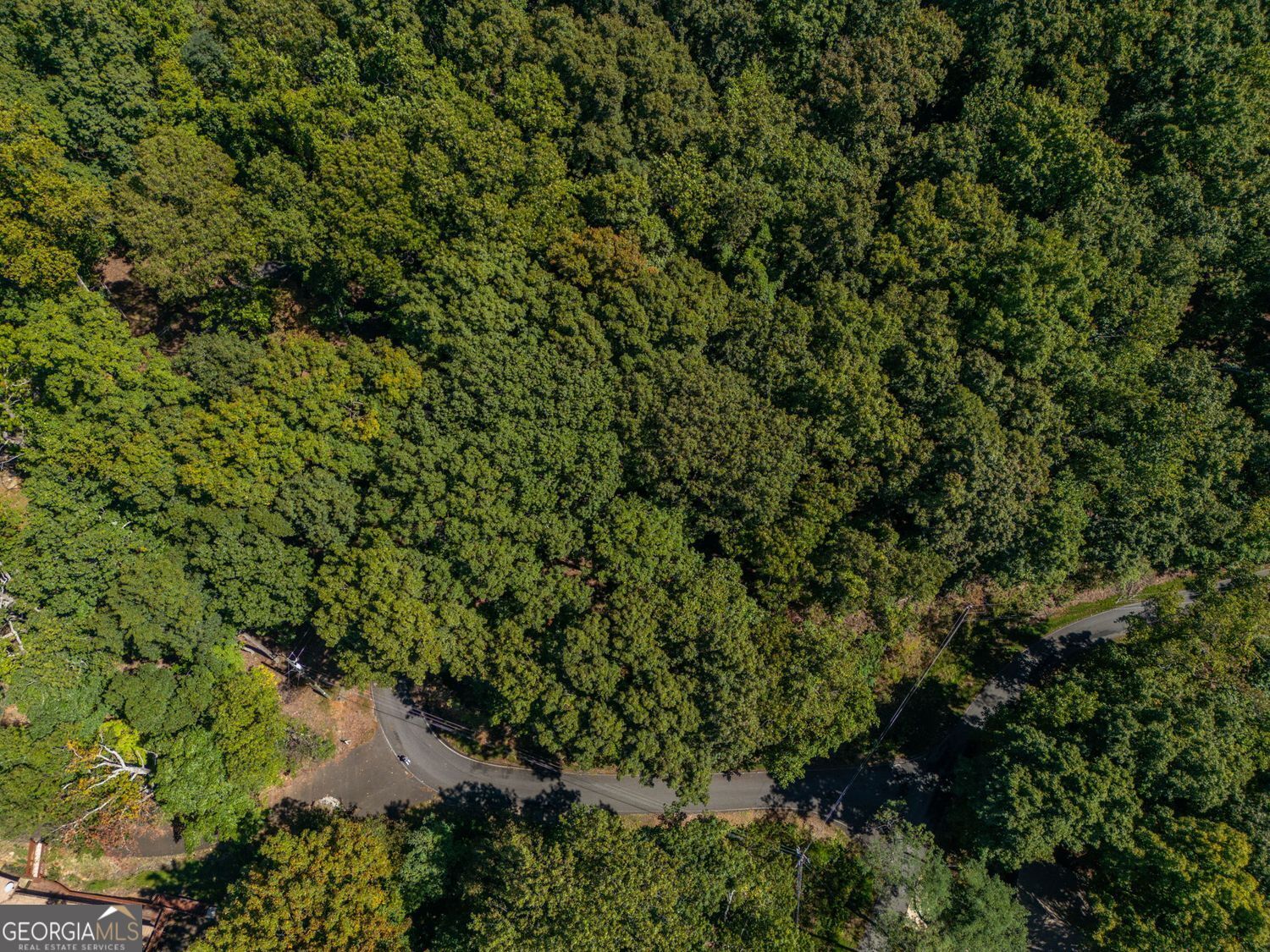 0 Valley View Vista Jasper, GA 30143 - Photo 6 of 14 a view of a forest with a tree