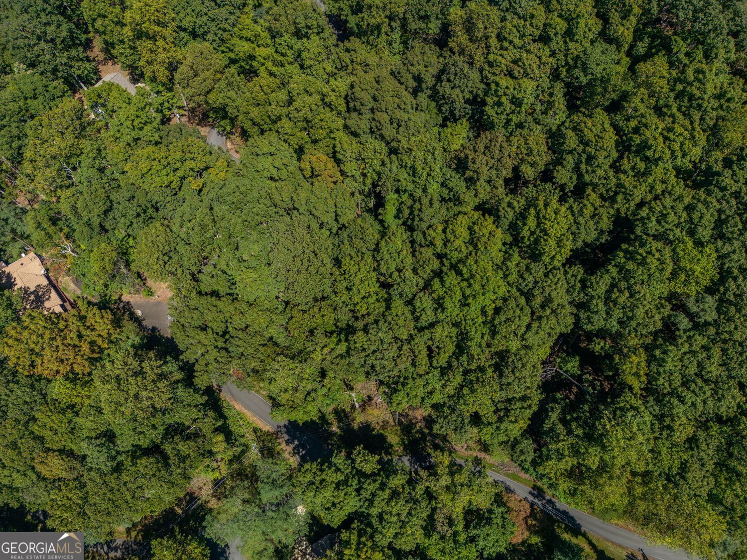 0 Valley View Vista Jasper, GA 30143 - Photo 10 of 14 a view of a lush green forest