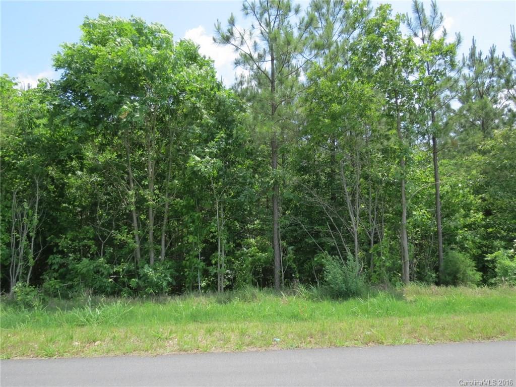 Lot 9 Ranger Road Clover, SC 29710 - Photo 5 of 10