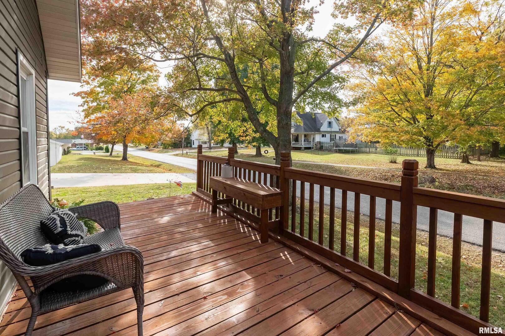 205 South 3rd Street Dahlgren, IL 62828 - Photo 7 of 48