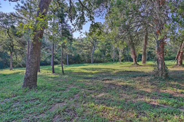 a view of outdoor space with trees all around