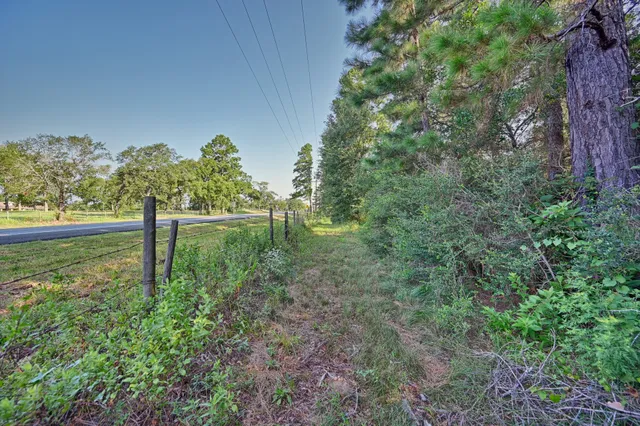 a green field with lots of bushes