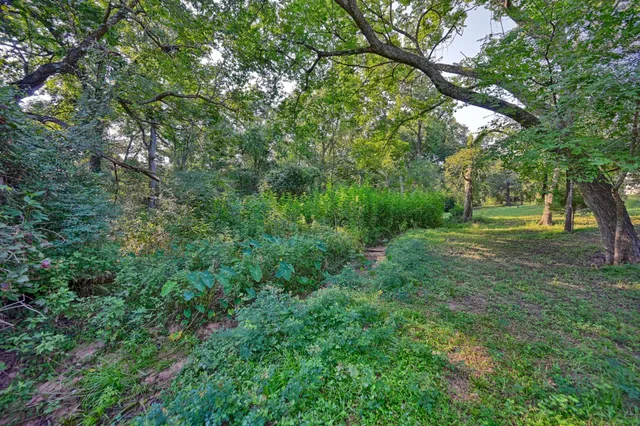 a view of outdoor space with deck and yard