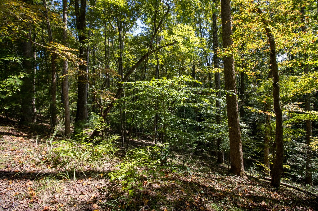 157 Summit Pine Sunset, SC 29685 - Photo 13 of 14 Gallery Image 13