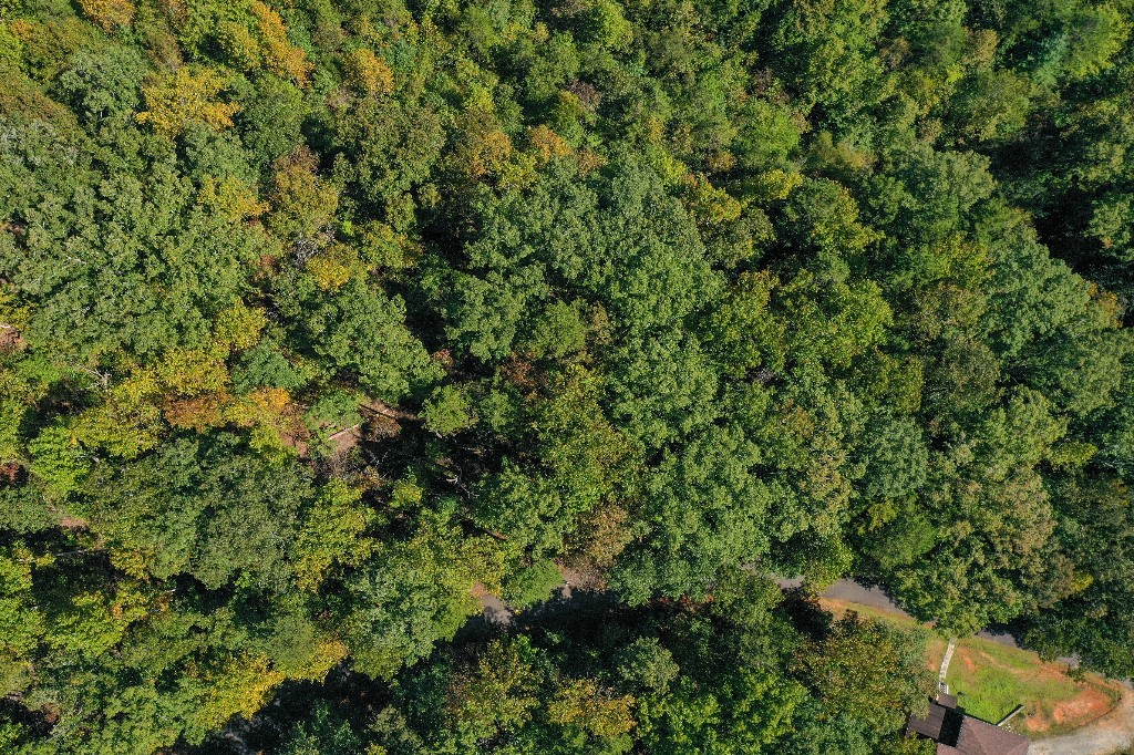 157 Summit Pine Sunset, SC 29685 - Photo 4 of 14 Gallery Image 4