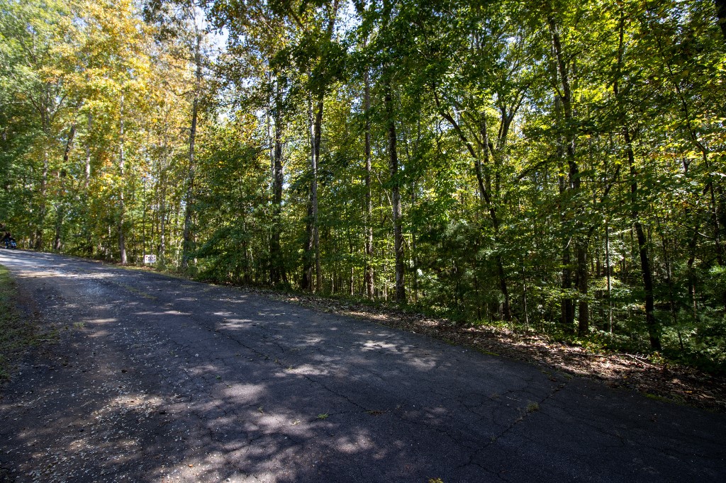 157 Summit Pine Sunset, SC 29685 - Photo 10 of 14 Gallery Image 10