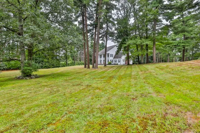 a view of a trees in a yard
