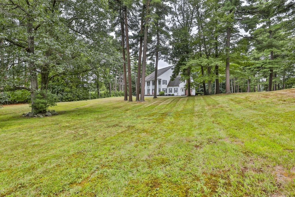 47 Sugar Road Bolton, MA 01740 - Photo 6 of 42 a view of a trees in a yard