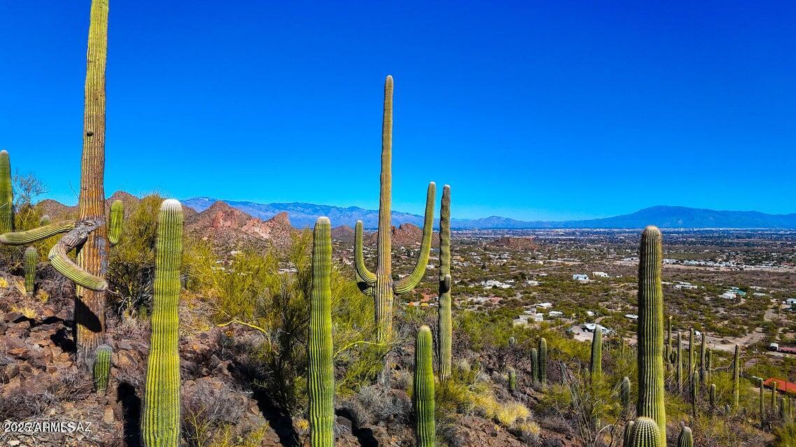 a view of a city with tall buildings