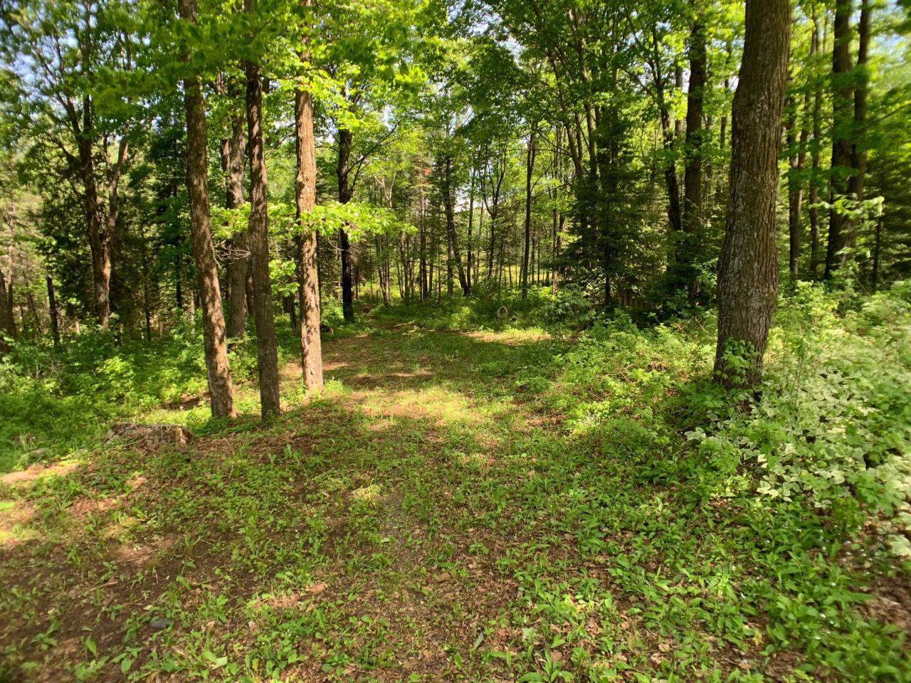79972 Peeksville Road Butternut, WI 54514 - Photo 29 of 39 Gallery Image 29