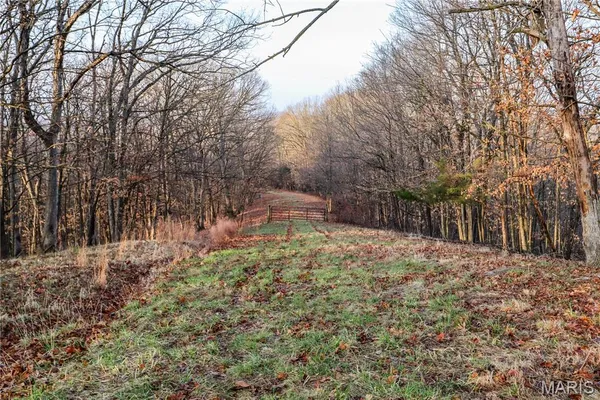 $199,500 | 12178 Dogwood Drive, Holts Summit, MO 65043