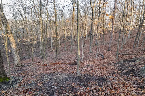 $199,500 | 12178 Dogwood Drive, Holts Summit, MO 65043