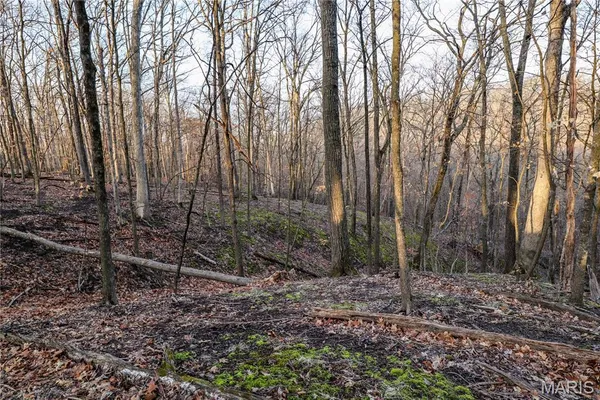 $199,500 | 12178 Dogwood Drive, Holts Summit, MO 65043