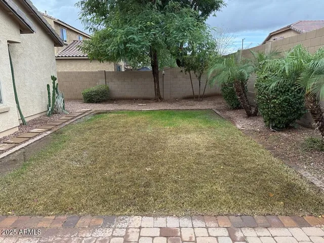 a view of a backyard with potted plants and large tree