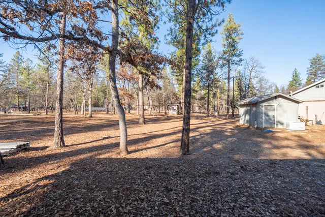 a view of a yard with tree s