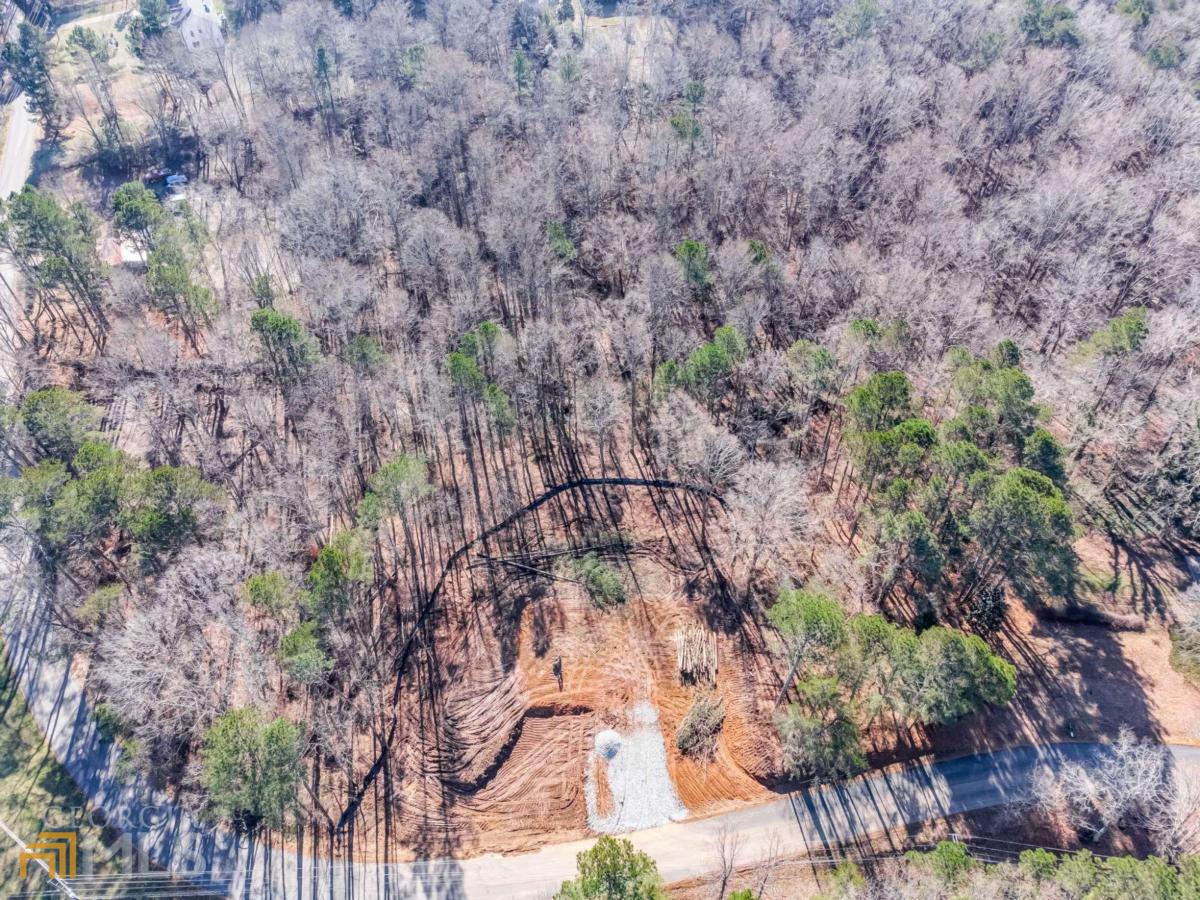 a backyard of a house with lots of plants and large trees