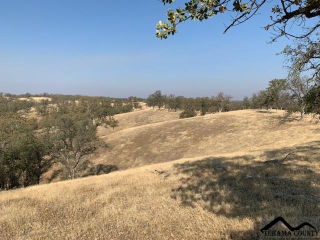 13790 Rattlesnake Ridge Road Red Bluff, CA 96080 - Photo 8 of 9 a view of an ocean beach