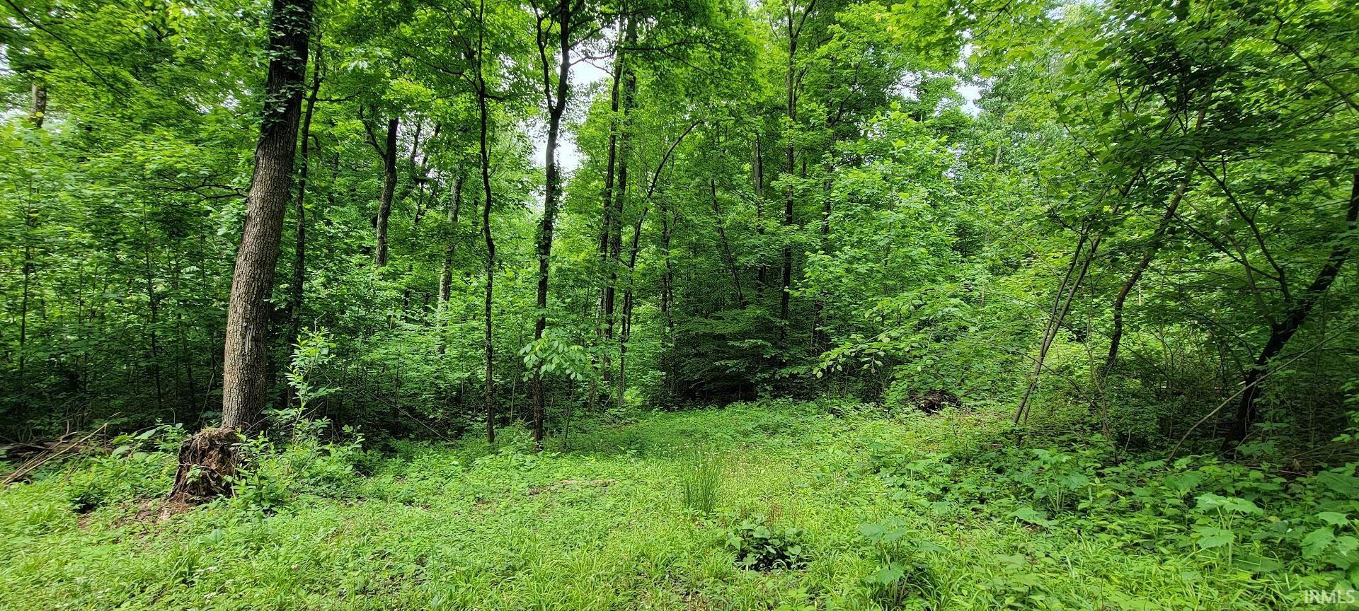 1771 North Peacock Hollow Road Salem, IN 47167 - Photo 26 of 36
