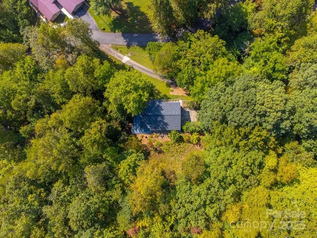 a view of a tree with a yard