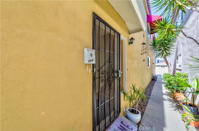 a flower plants with wooden fence