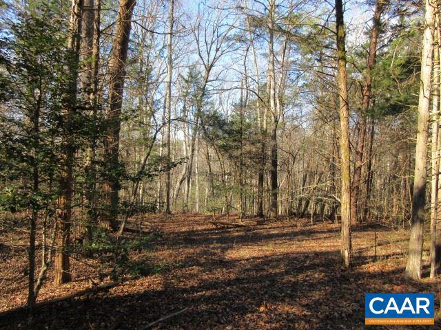 4534 River Road West Goochland, VA 23063 - Photo 5 of 6