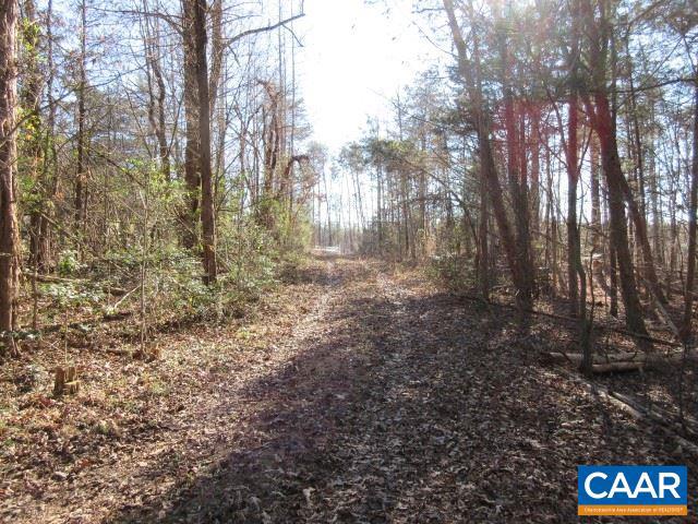 4534 River Road West Goochland, VA 23063 - Photo 6 of 6