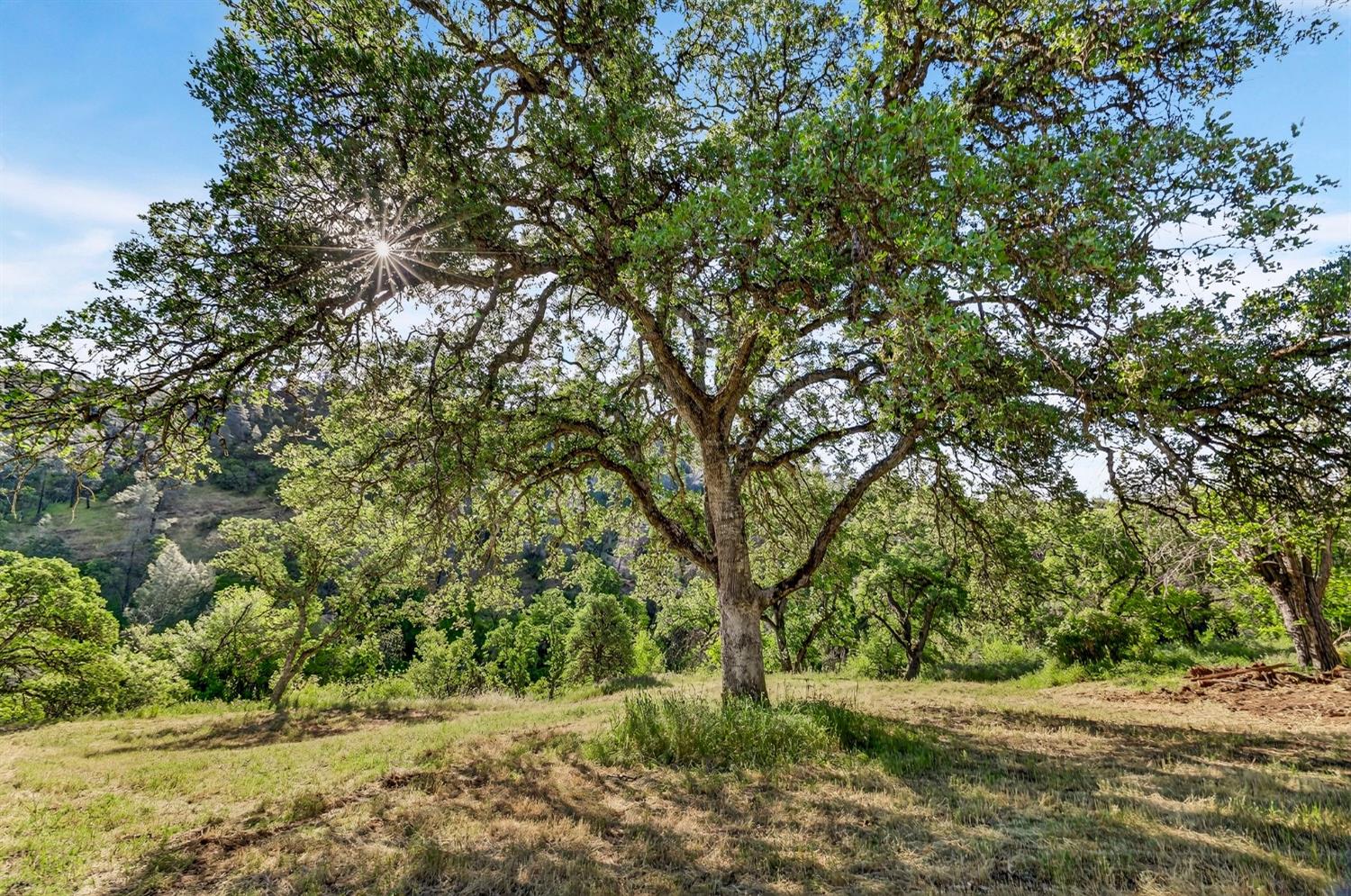 5595 Dream Valley Road Red Bluff, CA 96080 - Photo 1 of 22 Gallery Image 1