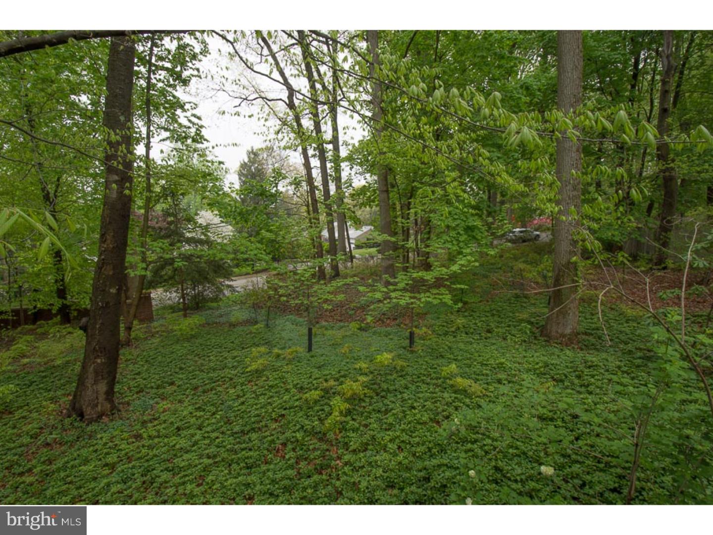204 Garden Place Wayne, PA 19087 - Photo 22 of 24 View in Back