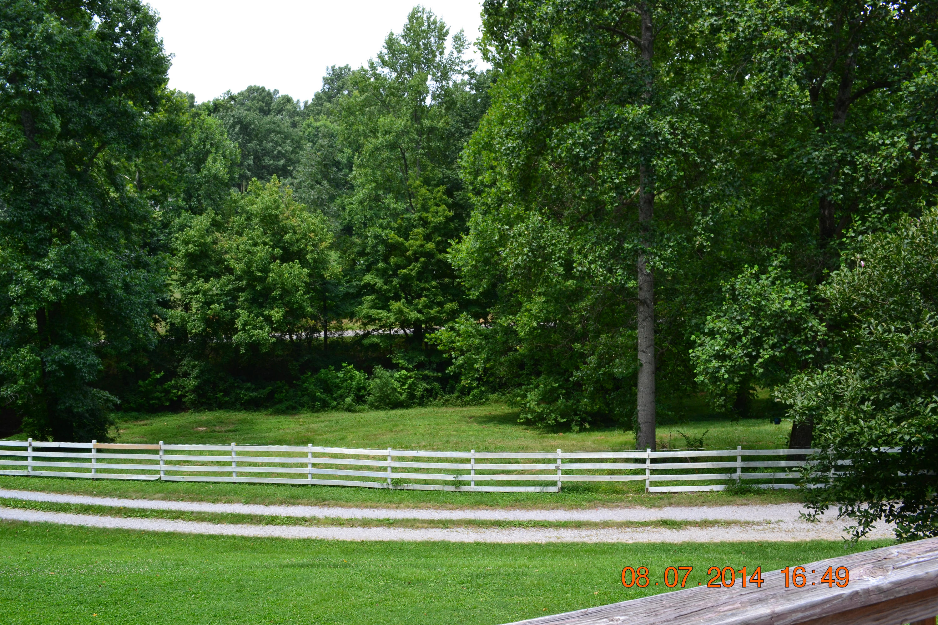 608 Webster Road Harriman, TN 37748 - Photo 3 of 37 Front yard A