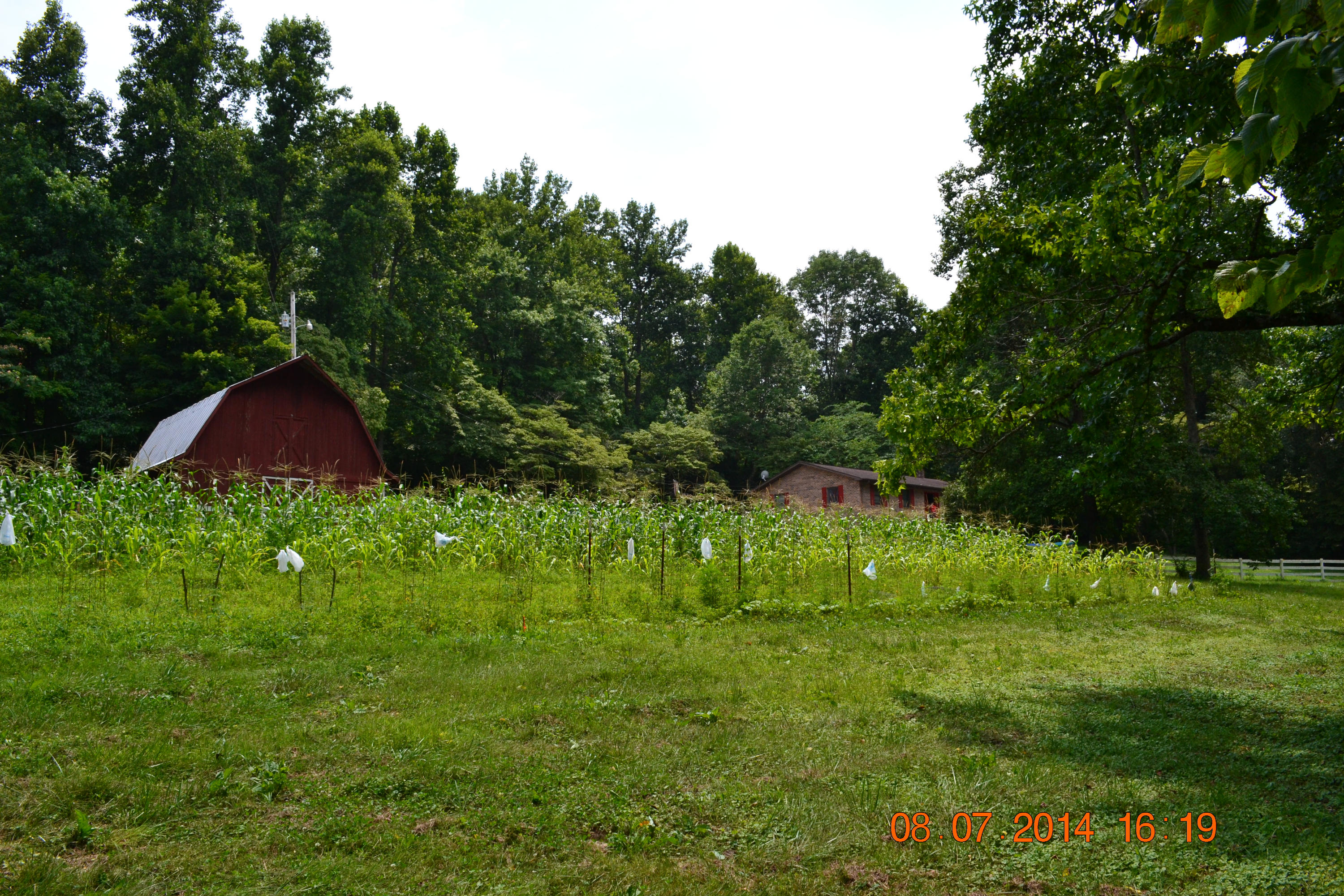 608 Webster Road Harriman, TN 37748 - Photo 21 of 37 Garden, Barn and House A