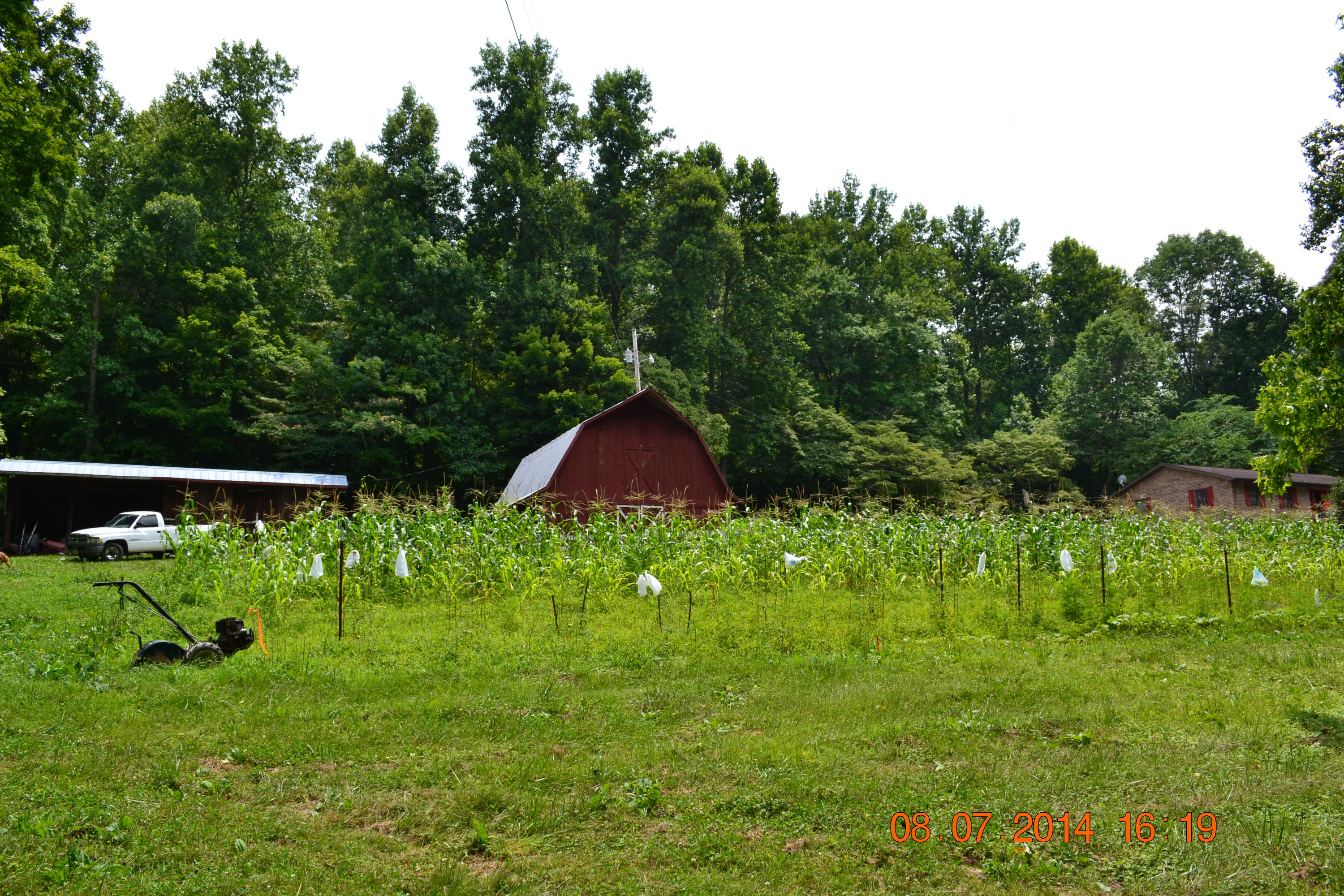 608 Webster Road Harriman, TN 37748 - Photo 22 of 37 Garden, Barn, and House
