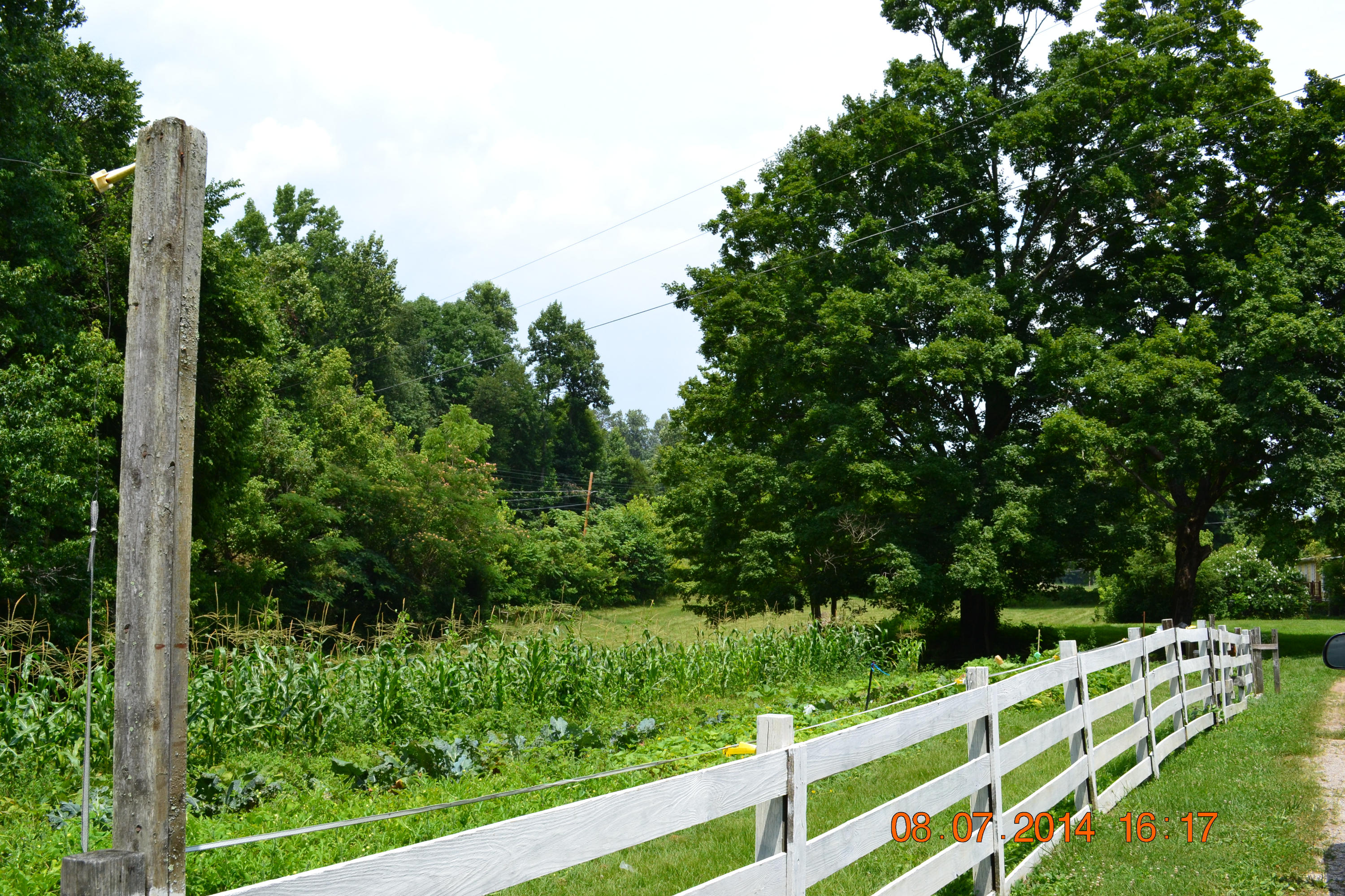 608 Webster Road Harriman, TN 37748 - Photo 23 of 37 Garden