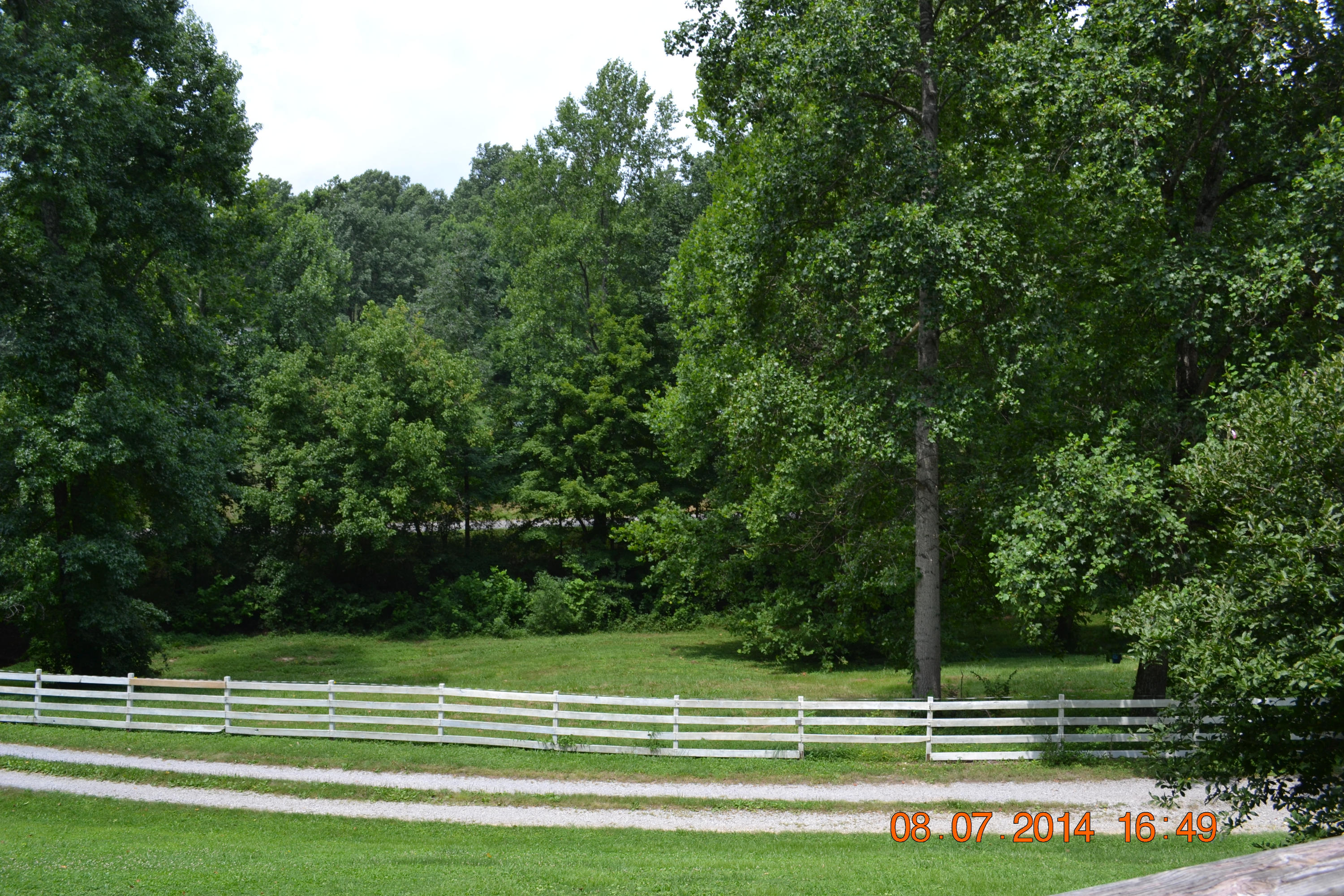 608 Webster Road Harriman, TN 37748 - Photo 4 of 37 Front yard