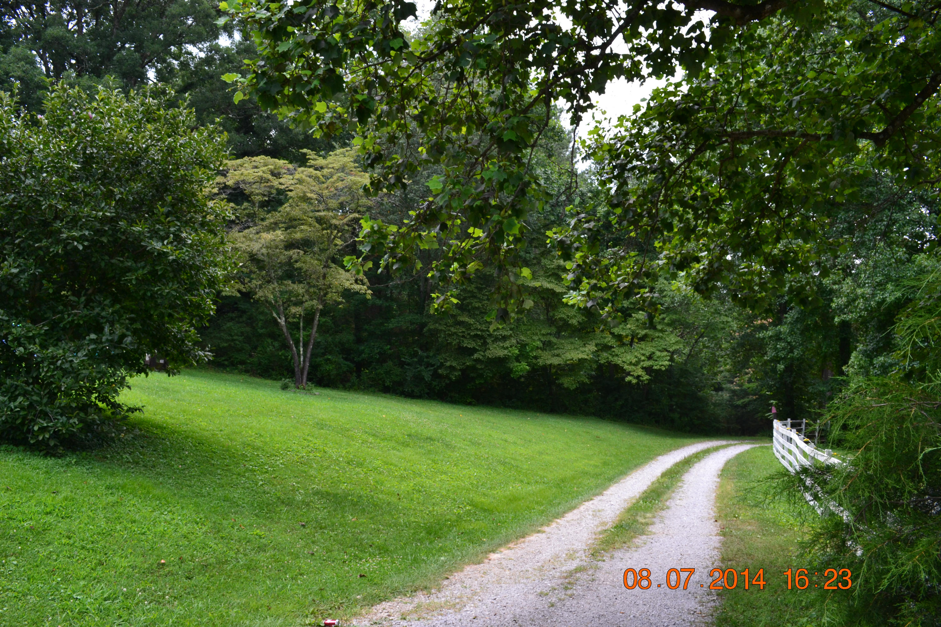 608 Webster Road Harriman, TN 37748 - Photo 33 of 37 Looking down driveway