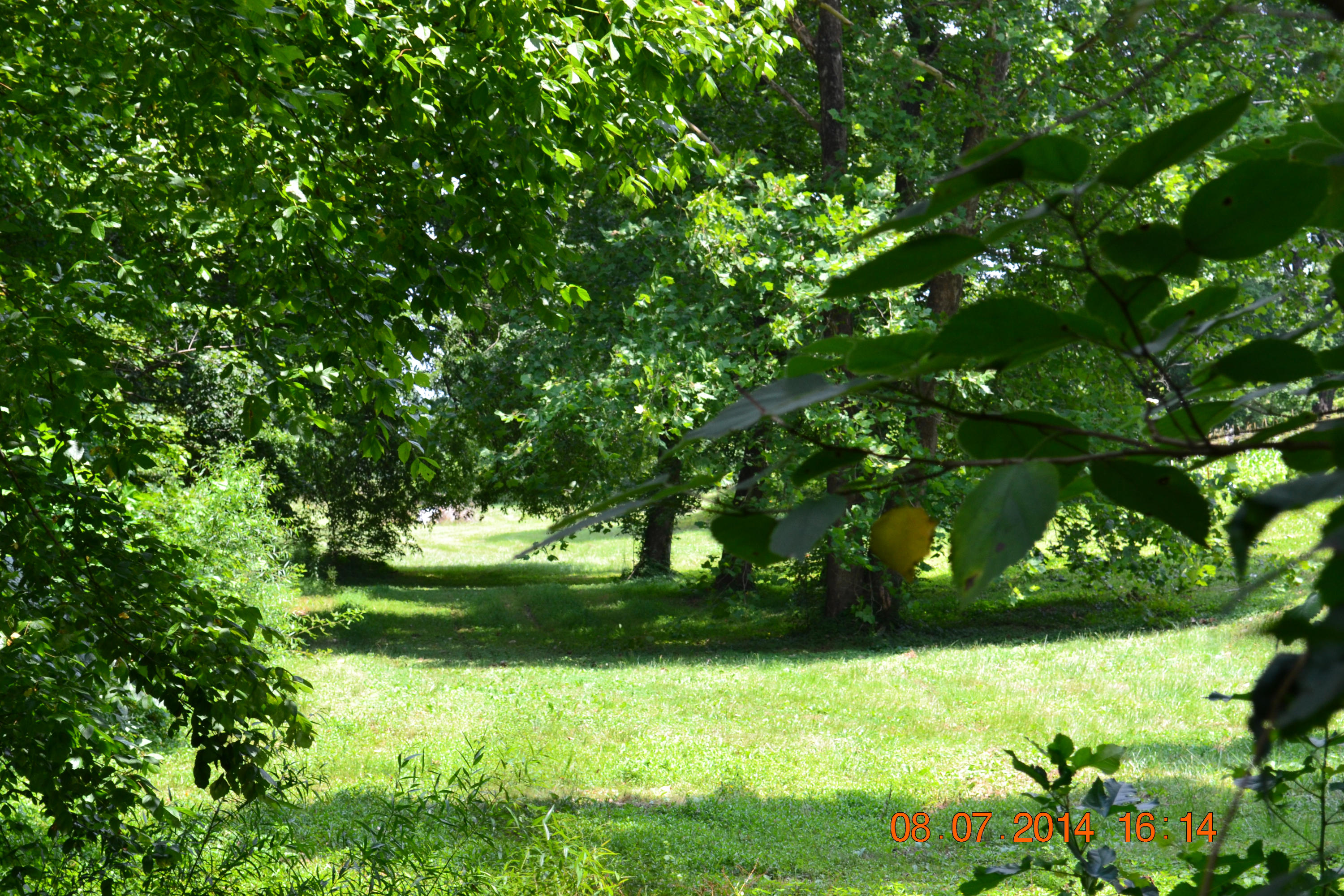 608 Webster Road Harriman, TN 37748 - Photo 34 of 37 Lower field A