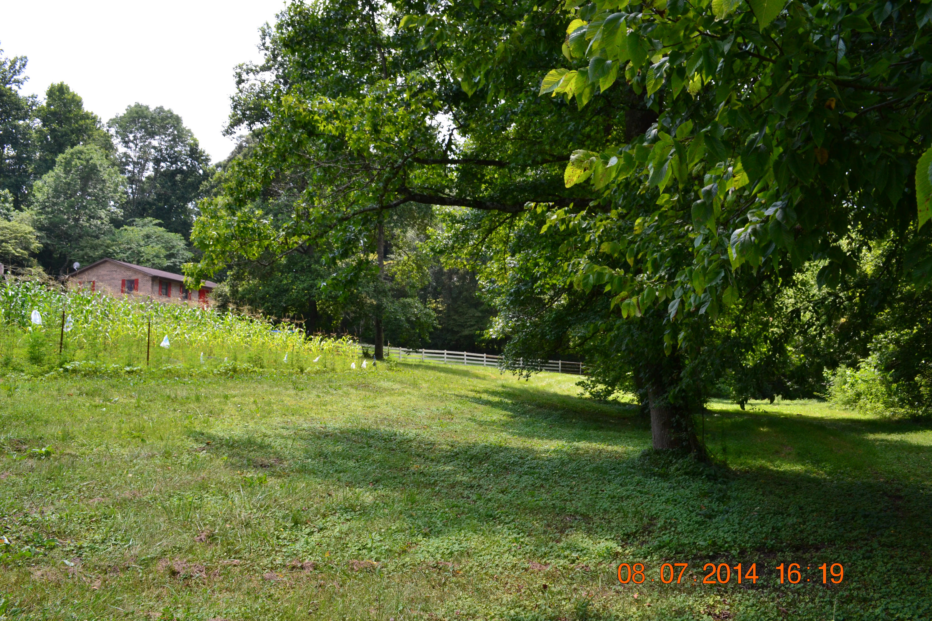 608 Webster Road Harriman, TN 37748 - Photo 35 of 37 Lower Field and House