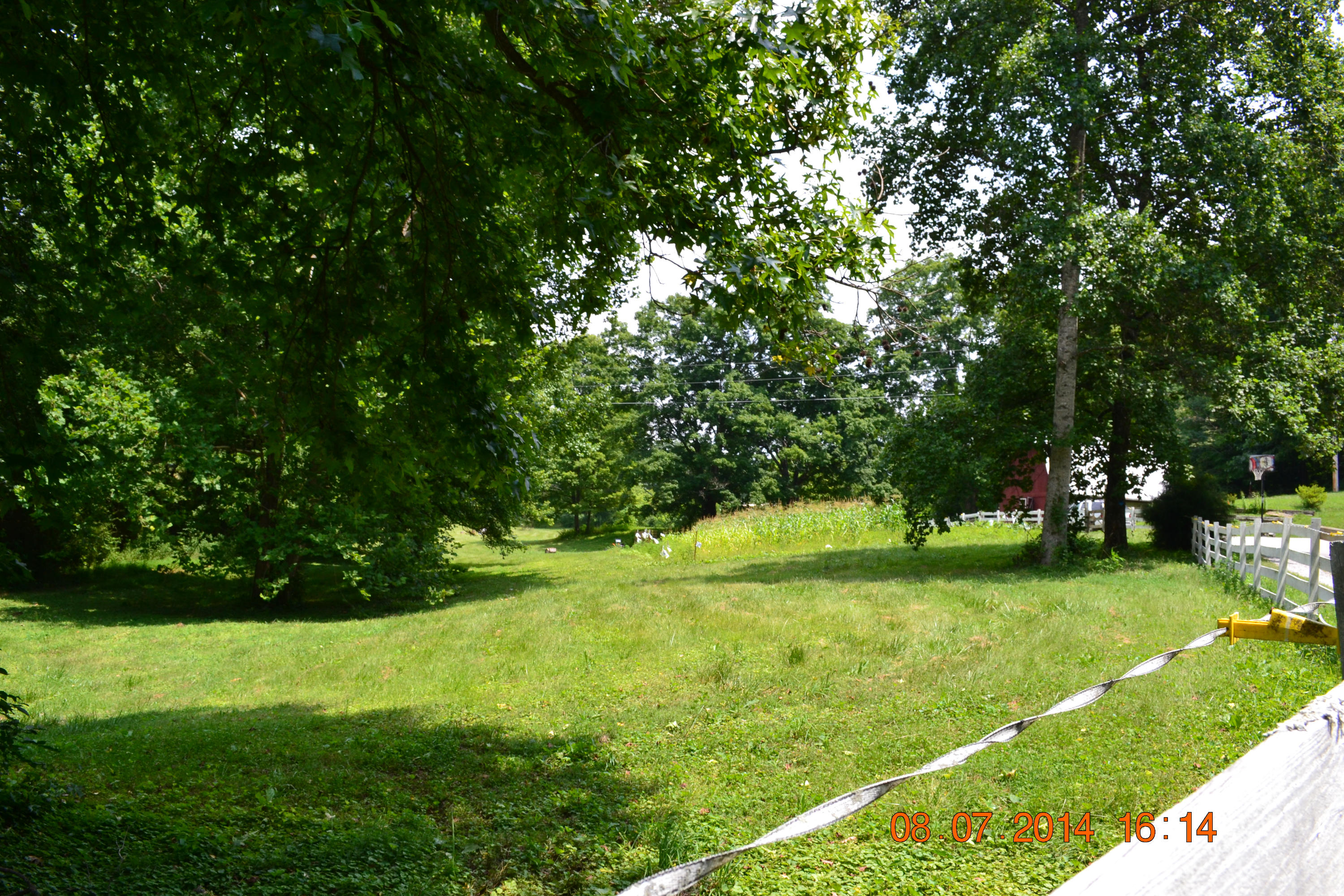 608 Webster Road Harriman, TN 37748 - Photo 36 of 37 Lower Field B