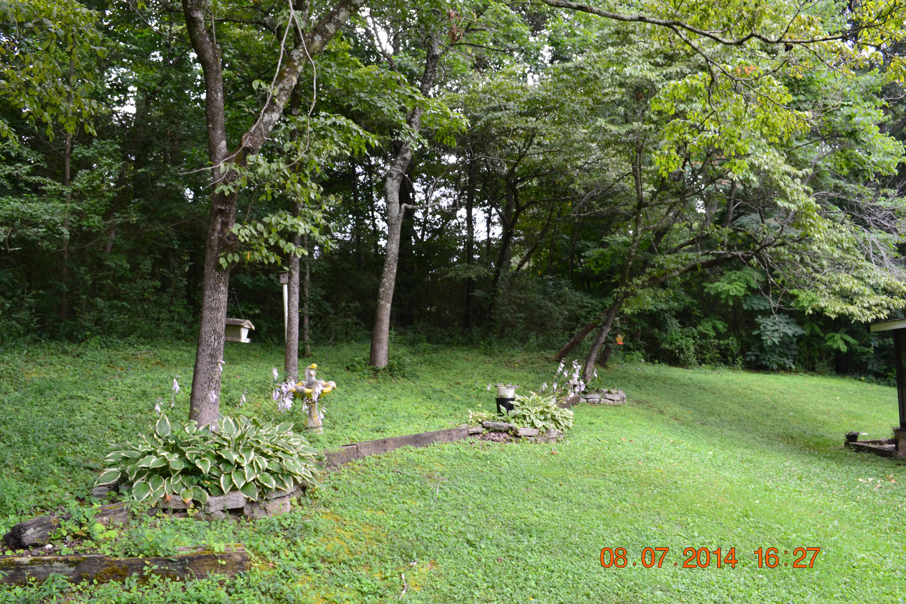 608 Webster Road Harriman, TN 37748 - Photo 7 of 37 Back yard