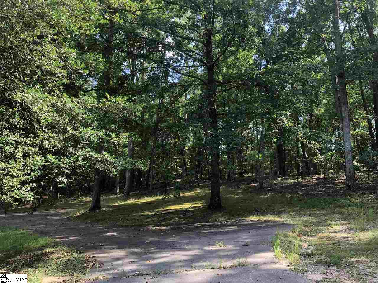 585 Smith Chapel Road Campobello, SC 29322 - Photo 22 of 32