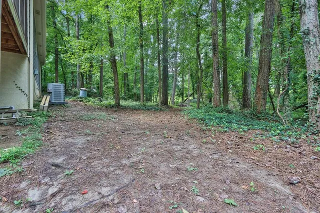 a view of a forest with trees in the background
