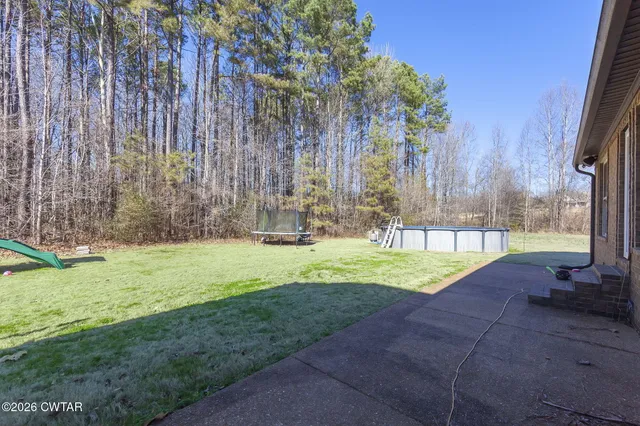 a view of a backyard with potted plants
