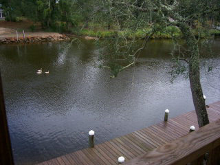 1854 West Baldwin County Road 10 Foley, AL 36535 - Photo 1 of 6 Main View